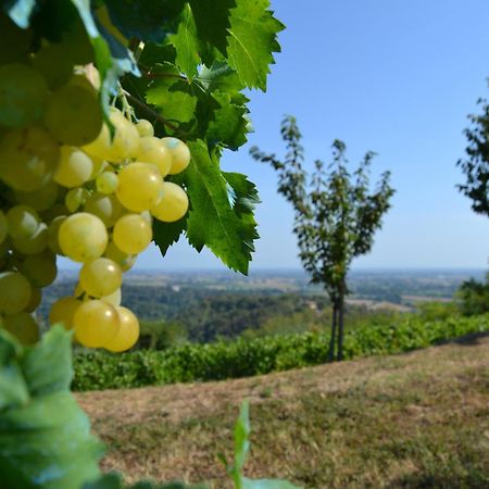 Country House Bucaneve Rovolon Екстериор снимка