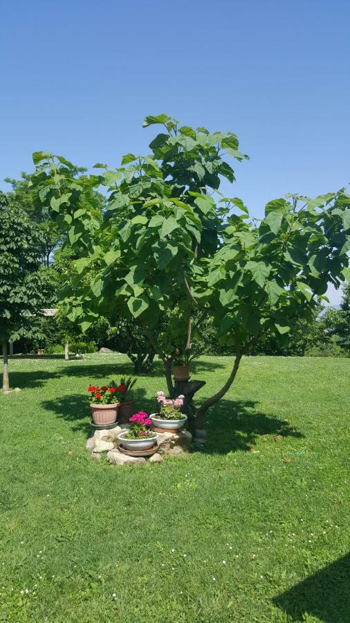 Country House Bucaneve Rovolon Екстериор снимка